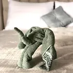 Duna P'art Panzio فندق مبيت وإفطار 4*