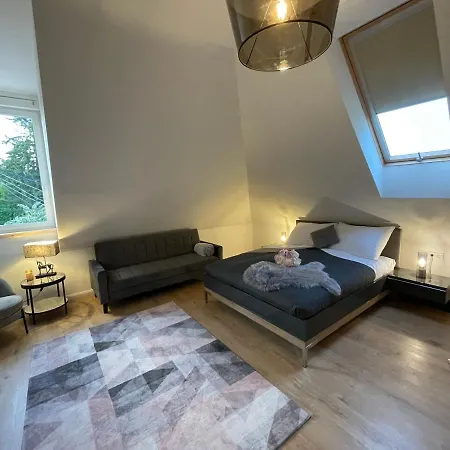 فندق مبيت وإفطار Duna P'art Panzio 4*